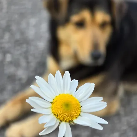 Riverstone Retreat *