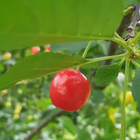 Riverstone Retreat Jajce