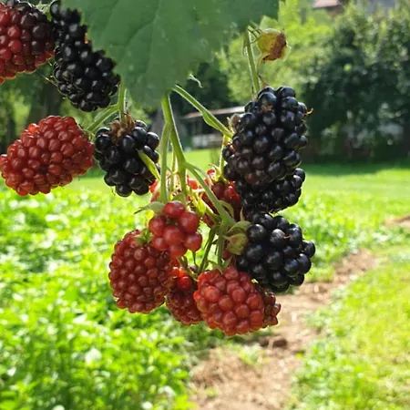 Riverstone Retreat Apartment